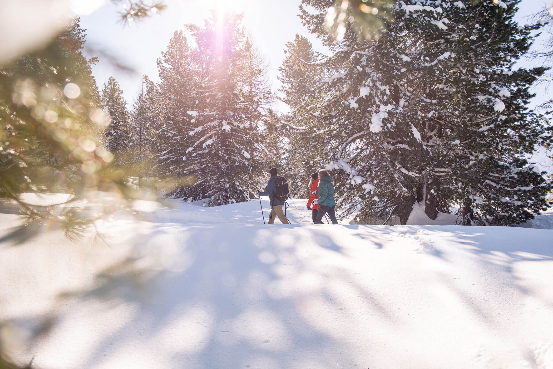 Drei Personen machen eine Schneeschuhwanderung im Neuschnee - Kuenzerhof