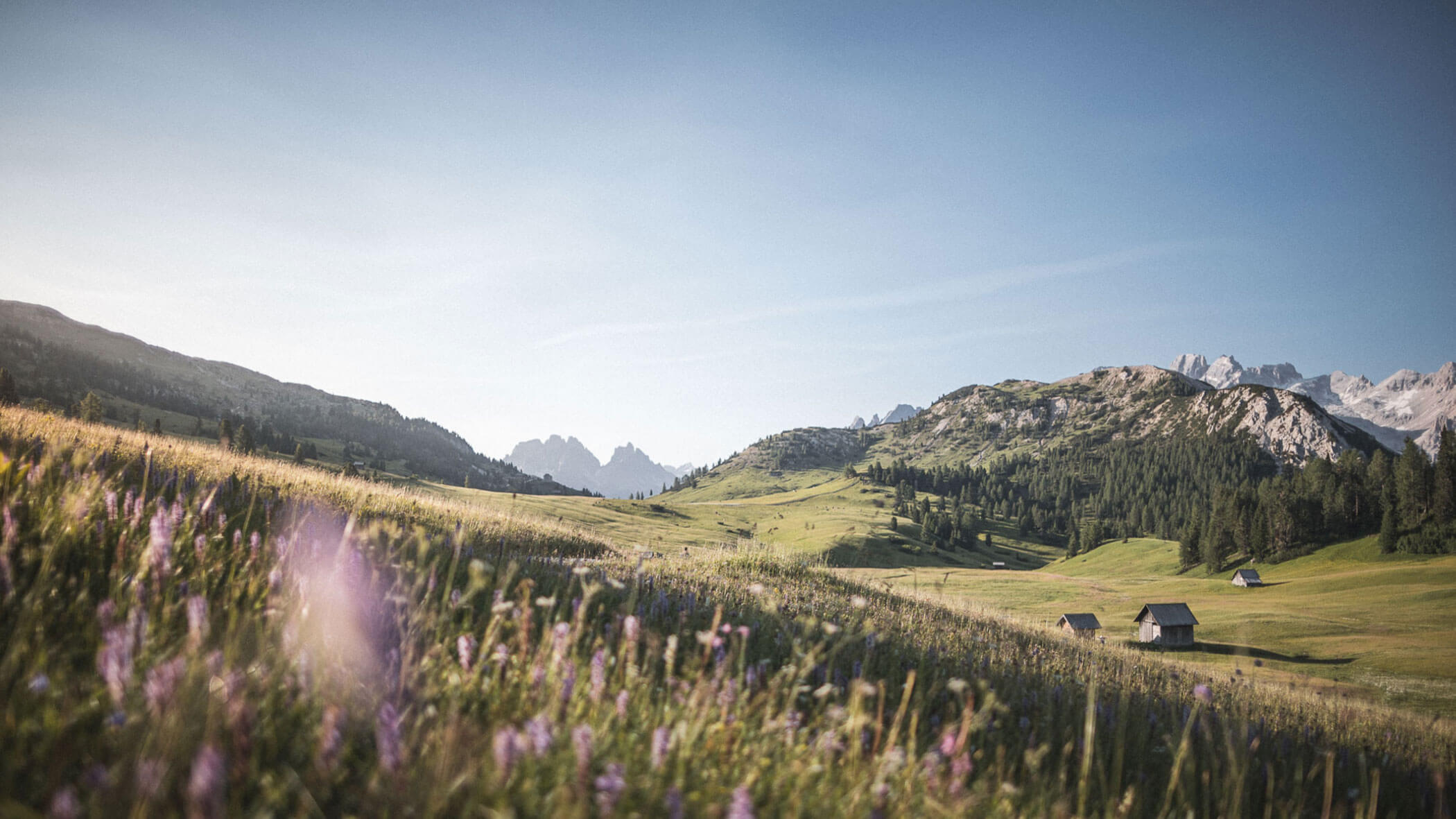 Die Südtiroler Berge mit grünen Wiesen und kleinen Holzhütten - Kuenzerhof